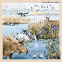 Poszetka jedwabna Biebrzański Park Narodowy I 